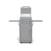 Le Griddle Wee 16-Inch Freestanding Propane Gas Griddle - GFE40 CK