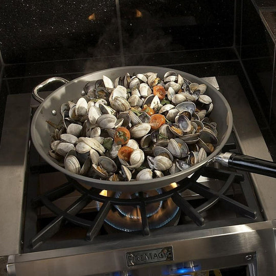 Fire Magic Echelon Diamond Built-In Gas Power Burner
