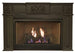 American Hearth Franklin Vent-Free Small Fireplace Insert VFPC20IN