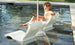 The woman in a white swimsuit and sun hat sits comfortably on a Ledge Lounger Relaxation In-Pool Chair & Ice Bin Bundle - Lowback, partially submerged, smiling with a magazine. Glasses rest on the nearby table in her sunny poolside oasis.