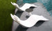 The Resort Luxury Outdoor Paradise In-Pool Furniture Bundle from Ledge Lounger features two wave-shaped, modern white chaise loungers partially submerged in a pool beside a small, black-topped round table, creating a serene and sunny poolside retreat where the pool meets the grassy lawn.