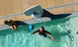 A man in swim trunks enthusiastically plays backyard basketball, aiming an aqua-blue ball at a Ledge Loungers Hoopstr pool hoop. Meanwhile, a woman in a yellow swimsuit observes from the sunlit tiled deck by the poolside as clear water sparkles around them.