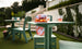 The outdoor space showcases a Mainstay Square Bistro Table by Ledge Lounger with green chairs on the lawn. The table holds a plate of peaches and grapes next to a pink drink in a textured glass, with a striped towel draped over a chair. Lush greenery borders the patio steps.