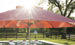 The Essential Fiberglass Umbrella - 10 Square Pulley by Ledge Lounger shades a poolside area with white lounge chairs. Sunlight filters through the trees and umbrella, casting a warm glow. Supported by sturdy bases, it complements the black wooden fence and lush greenery.