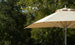 A Premier Aluminum Umbrella - 9 Octagon Pulley by Ledge Lounger offers shade beneath lush trees on a sunny day. Made with marine-grade fabrics, the partially open large beige umbrella combines style and wind resistance against the backdrop of dense foliage and dappled sunlight.