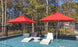 The poolside scene features two white lounge chairs partially submerged in water, each with a glass of sparkling beverage. Two Ledge Lounger Premier Aluminum Umbrellas - 11 Octagon Pulley provide shade with wind-resistant, marine-grade fabrics. A black metal fence and trees complete the tranquil backdrop.