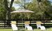 Three white lounge chairs with yellow-striped pillows are placed under a Ledge Lounger Premier Aluminum Umbrella - 13 Octagon Pulley in a grassy area. The wind-resistant, high-quality umbrella stands before a wooden fence with trees and a clear blue sky behind it.