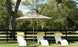Three white lounge chairs with yellow-striped towels are placed under a Ledge Lounger Premier Aluminum Umbrella - 8.5 Rectangle Pulley on a grassy lawn, framed by a black wooden fence and tall trees against a clear blue sky.