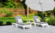 Two Ledge Lounger Mainstay Chaise lounge chairs, featuring gray cushions and striped pillows, are positioned on a tiled patio beneath a large white umbrella. A small round table with a cup enhances this versatile outdoor setup. A lush garden with a wooden fence serves as the background.