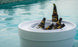 Five bottles of Modelo beer chill in a Signature Ice Basin by Ledge Lounger, filled with ice and floating on a clear blue swimming pool. One bottle stands upright with a lime wedge on the rim, while sunlight reflects off the water, creating a relaxing summer ambiance.