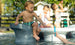 Under the sun, three children savor ice pops by a pool. One sits at the edge, another stands close, and the third drinks from a straw. In the foreground, near some Ledge Lounger Signature Barstool Counter Height seats beneath the water, a hand holding an ice pop appears.