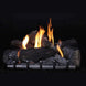 American Hearth Carol Rose Coastal Refractory Burner ONI/ONR
