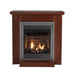 Empire Vail 24 premium vent-free gas fireplace with modern glass front and sleek design.