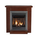 Empire Vail 24 premium vent-free gas fireplace with modern glass front and sleek design.