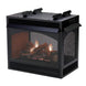 Empire Vail 36 peninsula gas fireplace with three-sided glass and modern design elements