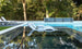 A modern outdoor pool showcases the submerged Signature Chaise from Ledge Lounger, paired with a small round table. Water cascades over a wall, enhancing the serene setting surrounded by lush trees, with additional ergonomic lounge chairs available on a nearby deck for ultimate relaxation.
