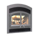 Valcourt Faceplate Louver For Waterloo Arched Fireplace